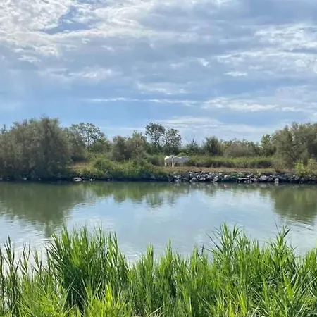Location En Provence * Beaucaire (Gard)